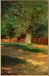 Boerderij achter grote boom