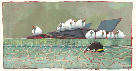 Zwembadvogels