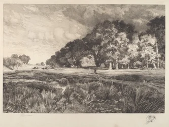 Landschap van Long Island