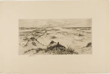 Kijkend over de zandduinen - Easthampton