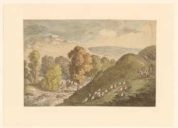 Heuvellandschap met schapen