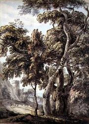 Studie van bomen