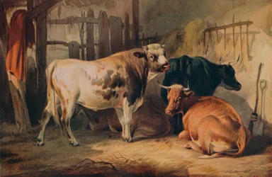 Een stier en drie koeien in een stal, c1856