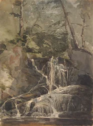 Kleine Waterval in Bos