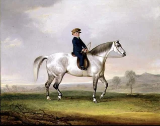 Meester Edward Humphries op zijn grijze pony
