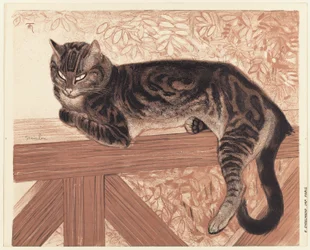 Zomer: Kat op een balustrade