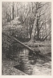 Boslandschap met een beek