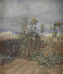 Zonnebloemen op een strand
