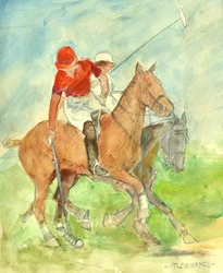Polowedstrijd