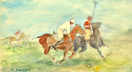 Polowedstrijd
