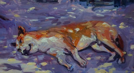 Slapende hond, 2021