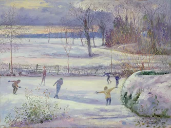 De Schaatsdag
