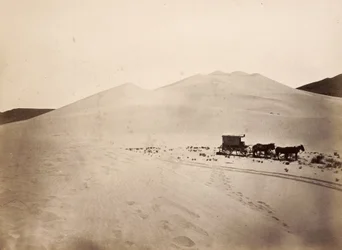 Zandduinen, Carsonwoestijn, Nevada