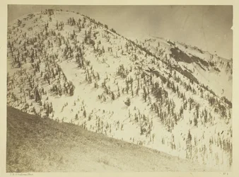 Sneeuwtoppen, Bull Run-mijndistrict, Nevada