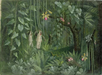 Orchideeënjagers van Brazilië