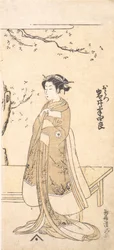 De vierde Imai Hanshiro in de rol van O Hatsu in Sakaicho Soga Nendaiki, 2e maand, 1771