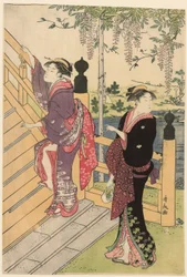 Bewondering van de Wisteria bij Kameido Shrine