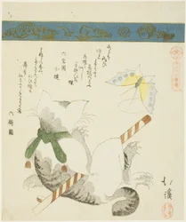 Kat die met een speelgoedvlinder speelt, uit de serie "Zesendertig afbeeldingen van vogels (Sanjuroku kinzoku)"