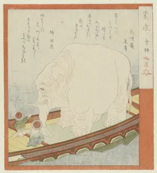 Sôjô met een olifant (The ignorant seekers) (series title)