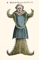 De zeemonnik, denkbeeldige vis en zeemonster door Ulisse Aldrovandi (1522-1605), "Monstrorum Historiae", Bologna 1642