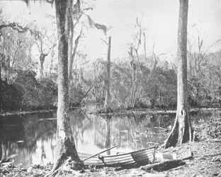 Een zijrivier van de St. Johns River, Florida, VS, c1900