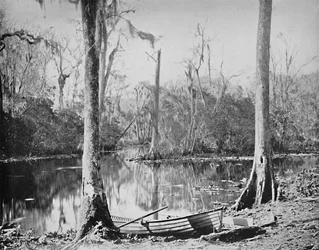Een Zijrivier van de St. Johns Rivier, Florida, ca. 1897