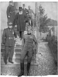 Alexander Karadordevic, Regent van Servië, Eerste Wereldoorlog, 1915