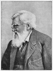 Alfred Russell Wallace, Welshe natuuronderzoeker, ca. 1895