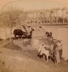 Een Egyptische Sakiyeh, Tekening van de Nijlwater voor irrigatie, Egypte, 1896