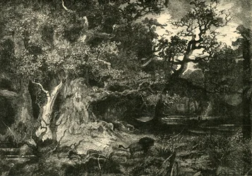 Een oud Duits bos, 1890