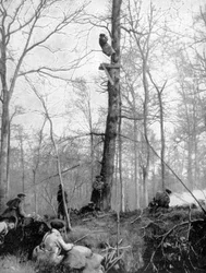 Een observatiepunt, 1915