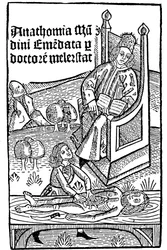 Anatomische demonstratie, 1493
