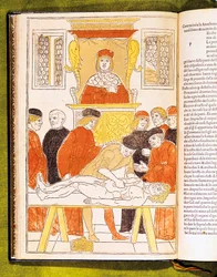 Anatomiecollege in Padua, Italië, 1483
