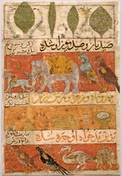 Dieren, vogels en planten verso, illustratie en tekst Perzische verzen..., 1341