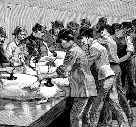 Varkensslachthuis van Armour Company, Chicago, Illinois, VS, 1892