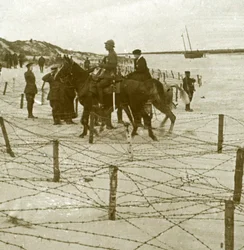 Aankomst in La Panne, Vlaanderen, België, ca. 1914-1918