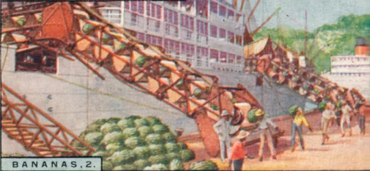 Bananen 2 - Laden van een stoomschip, Costa Rica, 1928