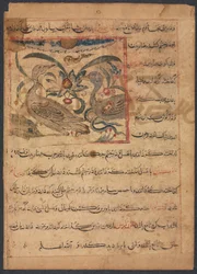 Voordelen van de delen van gieren...verso, late 1200s
