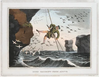Vogelvangst van bovenaf, Shetlandeilanden, 1813