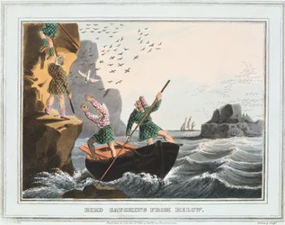 Vogelvangst van Onderaf, Shetlandeilanden, 1813