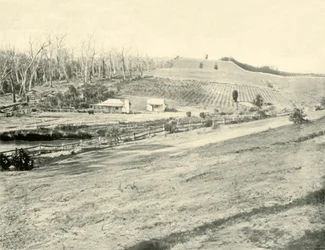 Bush Workmans Home, Gippsland, Victoria, 1901