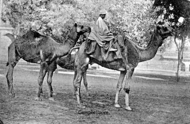 Campbellpore, Pakistan, 20e eeuw