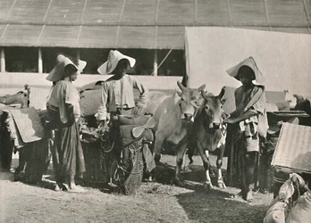 Karavaanscène met Shans in Bhamo, 1900