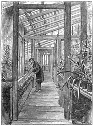 Charles Darwin 1809-1882, Engelse natuuronderzoeker, in zijn kas