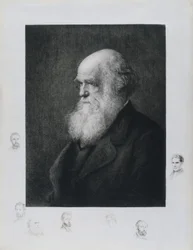Charles Darwin, Engelse natuuronderzoeker, circa 1860s
