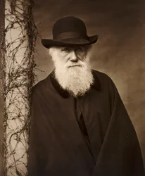 Charles Darwin in zijn huis in Down House, Kent, ca. 1880