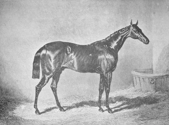 Charles XII, winnaar van de St. Leger 1839, 1911