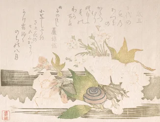 Kersenbloesems en een slak, 1816