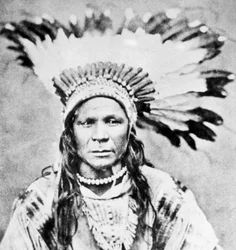 Hoofdman Crow Flies High