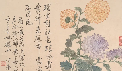 Chrysanten